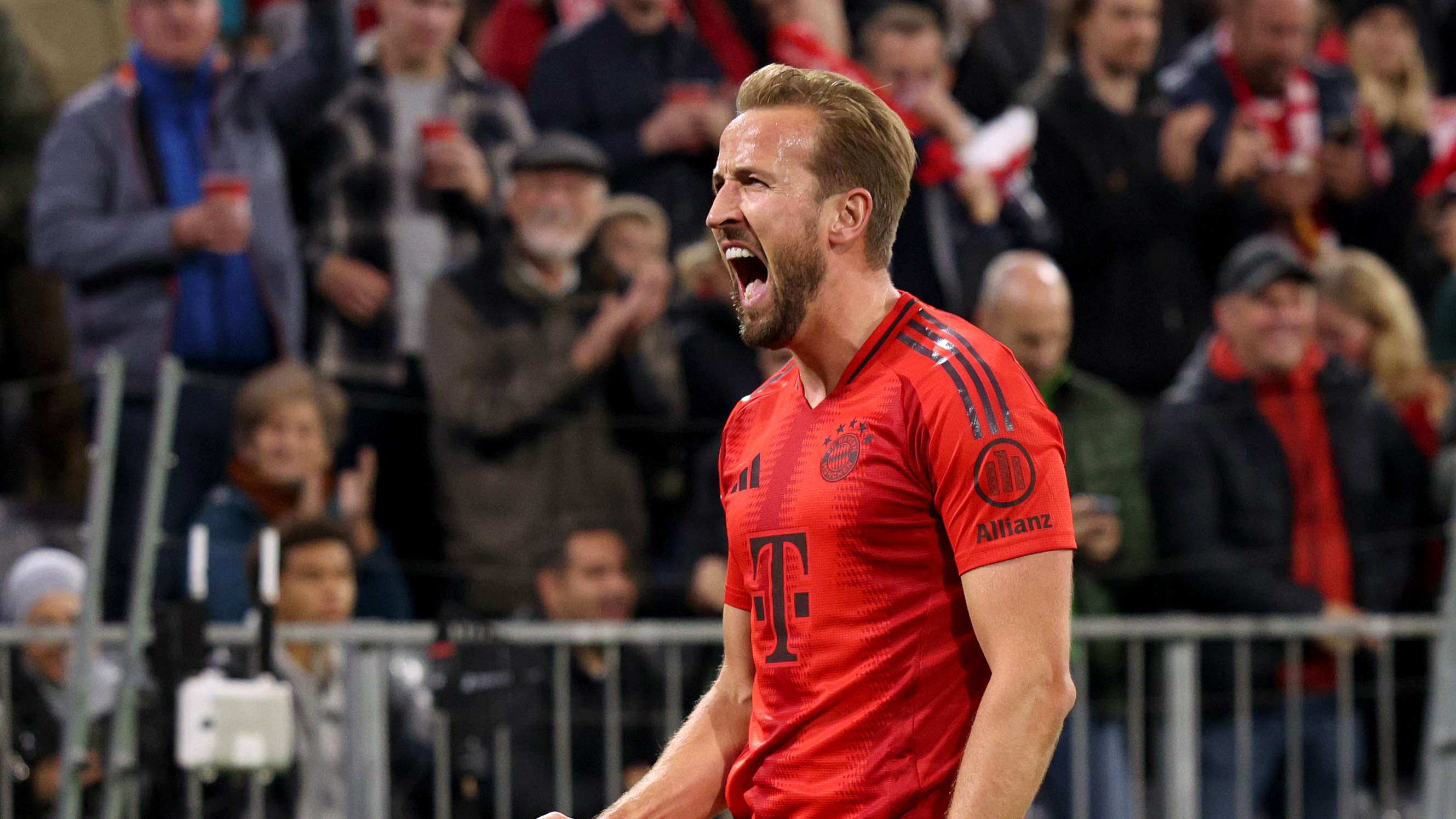 了新的活力 了新的活力