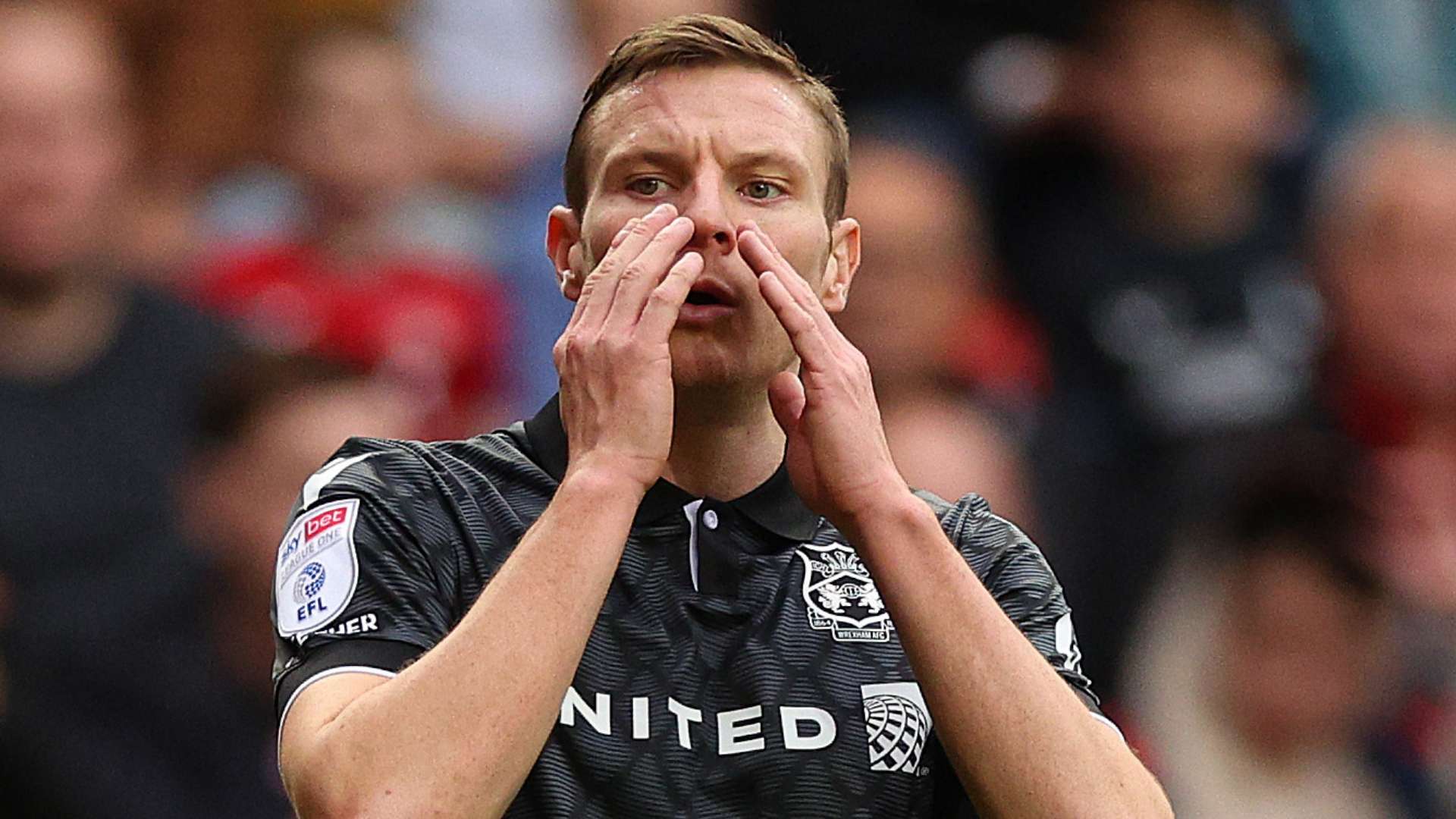 本赛季他们 本赛季他们